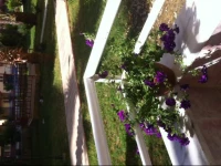 Toros Tatil Sitesi Apartments