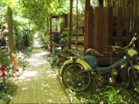 Olympos Natural Pansiyon