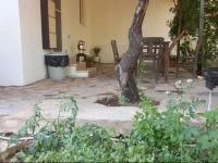 Palamutbuku Bibilli Apart