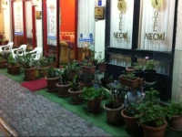 Hotel Necmi