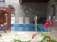 Amazon Petite Palace