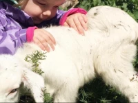 Byipek FarmHouse (Ciftlik Evi)
