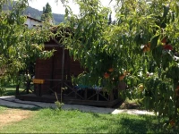 SalkД±m Konak ve Agac Evler