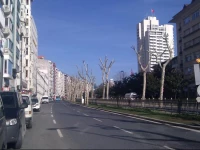 Falcon Apart Otel Istanbul