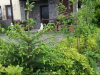 SaralayvalД± Villa