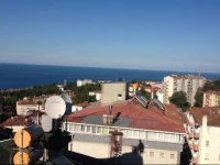 Zoviya Hill White Apart