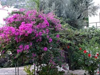 Diplomat 2 Hotel and Apartments 1*