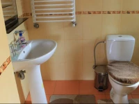 Cottage u Yaremy Mykulychyn