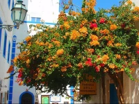 Apartamento centro Albufeira