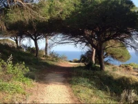 Apartment Aldeia das AГ§oteias