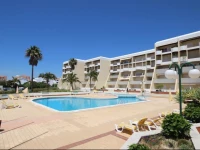 Palmeira Gale by amcf