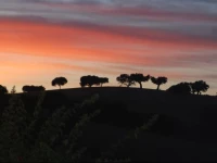 Casa Monte dos Amigos