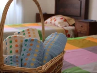 Fernando Guest House