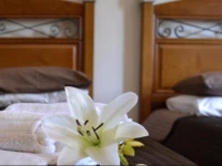 Monte da Alfarrobeira