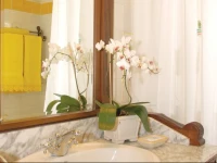 Quinta De Sao Faustino - Turismo Rural