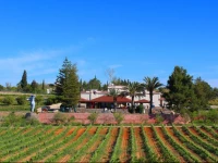 Quinta dos Vales Wine Estate