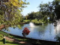 Indigo Madeira вЂ“ Aranhas