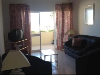 Palmeira GalГ© 1-A