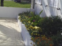 Cartaia Apartamento Leste