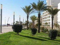 Quarteira Apartamento