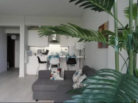 Cozy and Charming Apartment