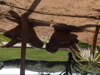 Appartement Boavista Golf