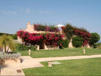 Apartamentos Turisticos Buganvilia