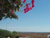 Appartement Perto Da Praia