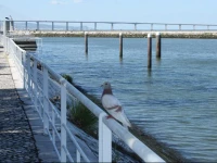 Apartamento Parque das NaГ§Гµes 2G