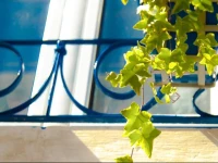 Apartment Beautiful Three Bedroom in GraГ§a