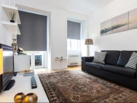 Deluxe city center flat