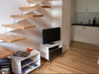 Dreaming Lisbon - Trigueiros