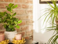 Feels Like Home - Saldanha Stylish Apartment