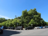 Green Tile Apartment