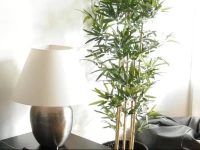 LUXBON GraГ§a Tagus