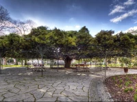 Orange 3 House - Principe Real Apartment