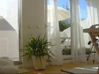 Overlooking Botanic Garden And Castle