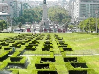 The Rose Guest House