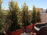 The Terrace Apartment