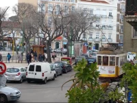 Travelers in Wonderland