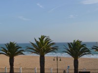 Beach Front Apartments
