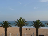 Beach Front Apartments