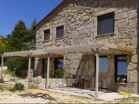 Orange Olives - Casa Vermelha