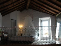 A Casa Do PГЎssaro Branco