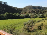 The Natural Elements Apartment