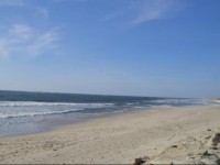 The Pinewood Apartment