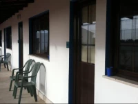 Alentejo Pig dog surf camp