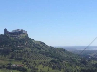 Palmos de Prosa Residencial O Gaio