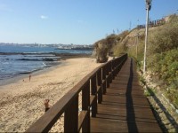 Praia das Avencas Apt.