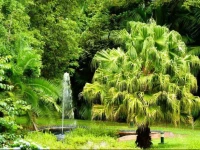 Hotel Casa do Jardim